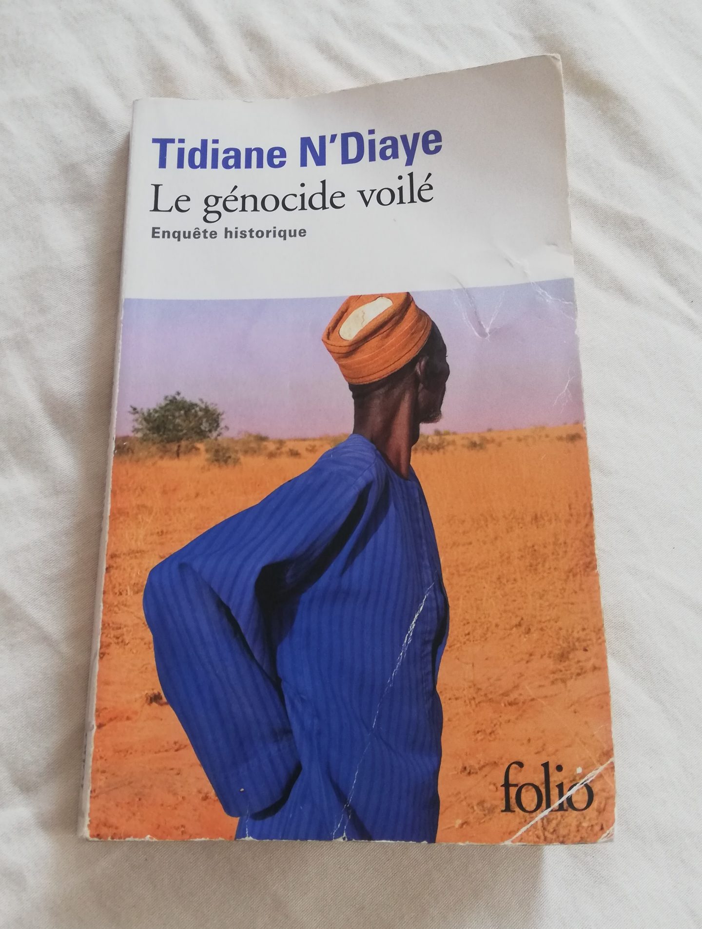 Tidiane N'Diaye "Le génocide voilé"