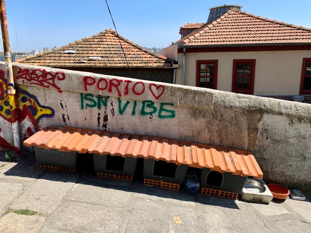 Maisons des chats, Porto